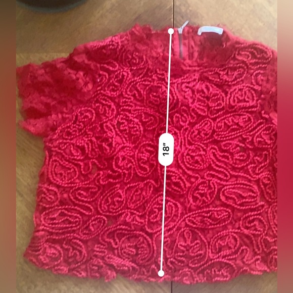 ZARA RED EMBROIDERY LACE TOP LARGE - Picture 4 of 5